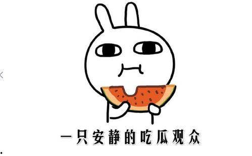 网上吃瓜什么意思