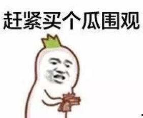 吃瓜群众是大佬小说百度云